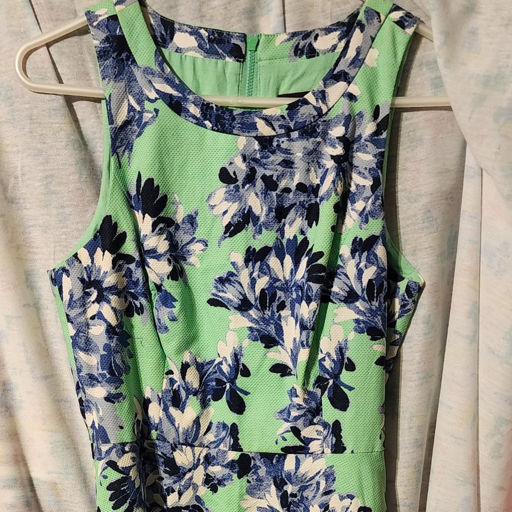 J Crew Floral A-Line Silhouette Dress Size 2